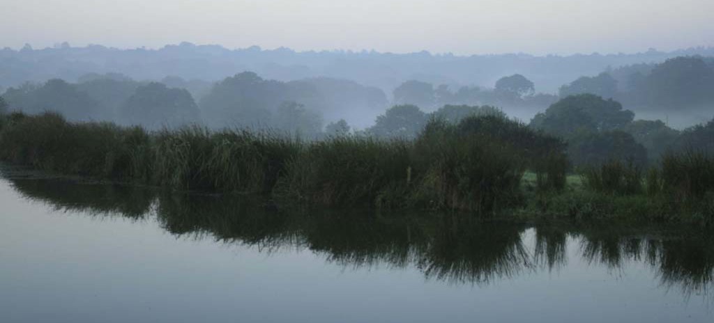 Early morning mist...